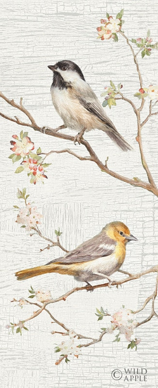 Reproduction of Vintage Birds Panel II by Danhui Nai - Wall Decor Art