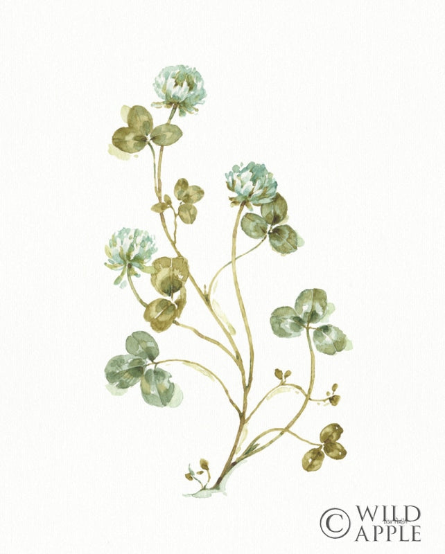 Reproduction of My Greenhouse Clover II by Lisa Audit - Wall Decor Art