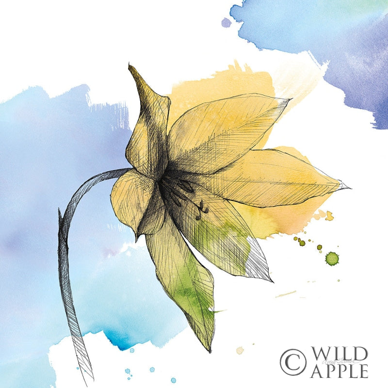 Reproduction of Watercolor Graphitge Flower VIII by Avery Tillmon - Wall Decor Art