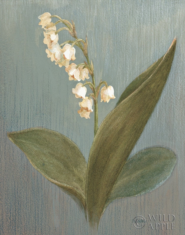 Reproduction of May Lily of the Valley Green by Danhui Nai - Wall Decor Art