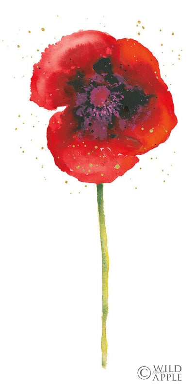 Reproduction of Splash I with Gold by Shirley Novak - Wall Decor Art