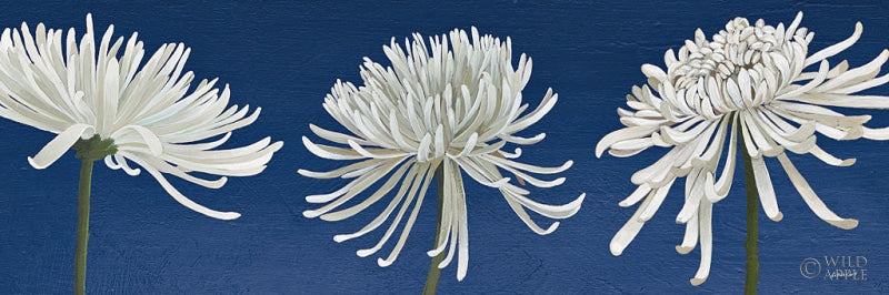 Reproduction of Morning Chrysanthemums V Indigo by Kathrine Lovell - Wall Decor Art