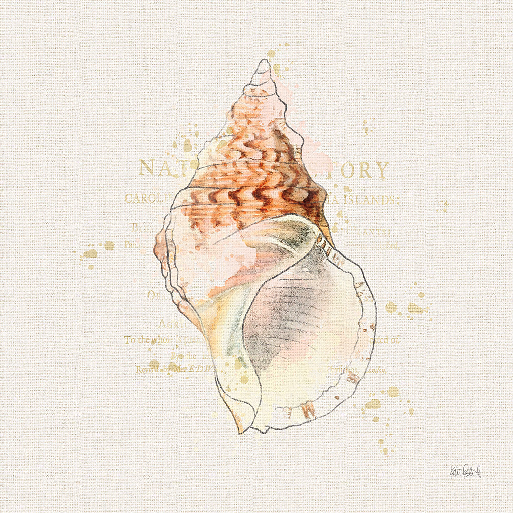 Reproduction of Shell Collector III by Katie Pertiet - Wall Decor Art
