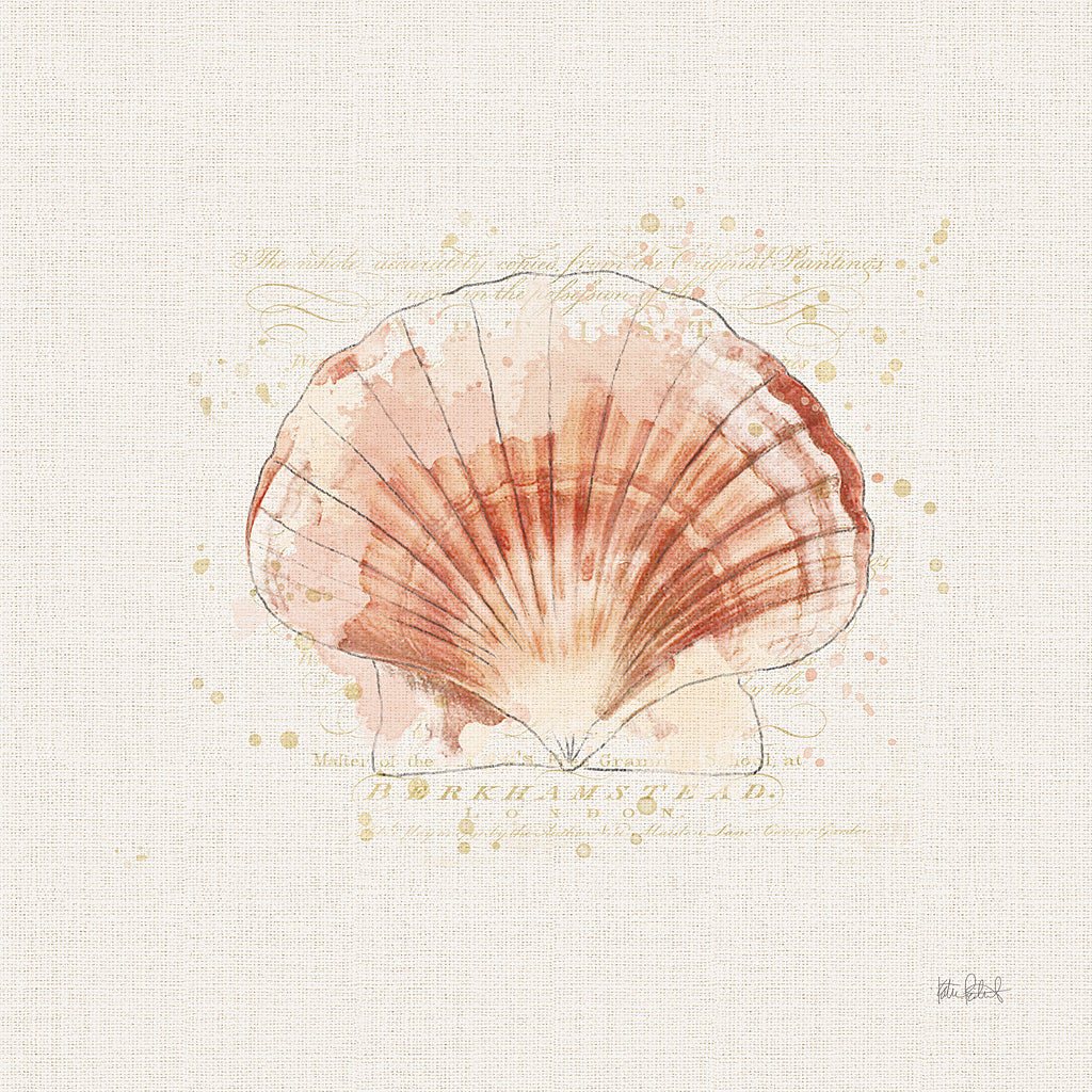 Reproduction of Shell Collector IV by Katie Pertiet - Wall Decor Art