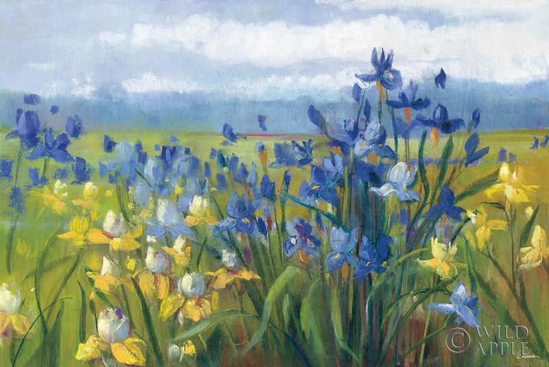 Reproduction of Blue and Yellow Flower Field by Carol Rowan - Wall Decor Art