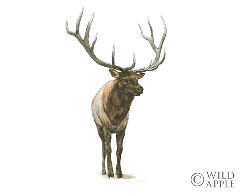 Reproduction of Natural Majesty I Crop by Emily Adams - Wall Decor Art