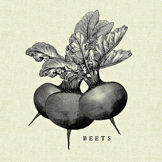 Reproduction of Linen Vegetable BW Sketch Beets by Studio Mousseau - Wall Decor Art