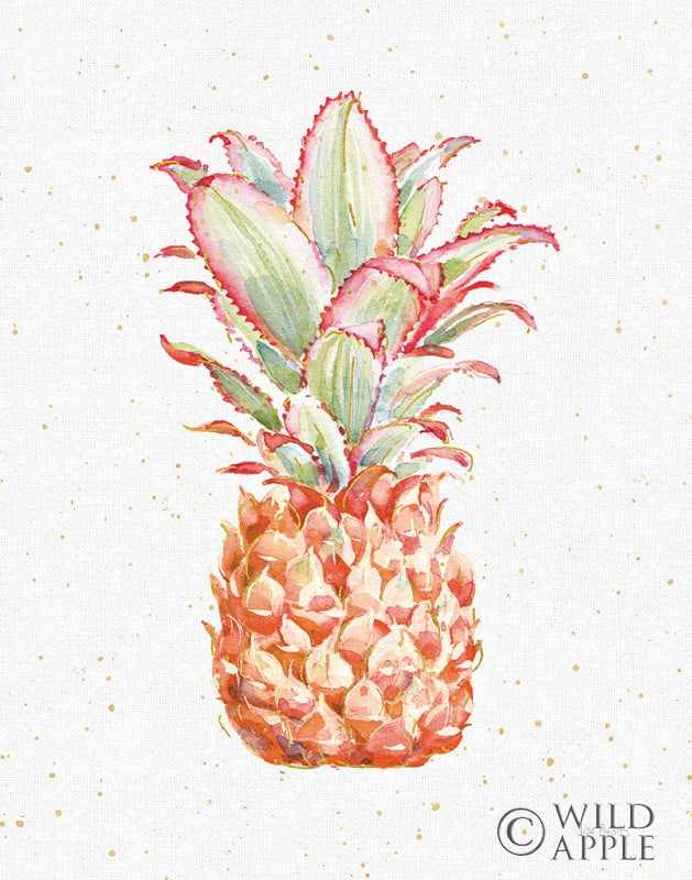 Reproduction of Gracefully Blush Pineapple XI by Lisa Audit - Wall Decor Art