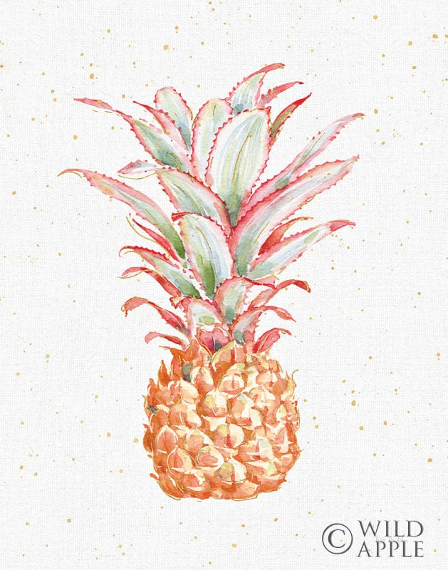 Reproduction of Gracefully Blush Pineapple XII by Lisa Audit - Wall Decor Art