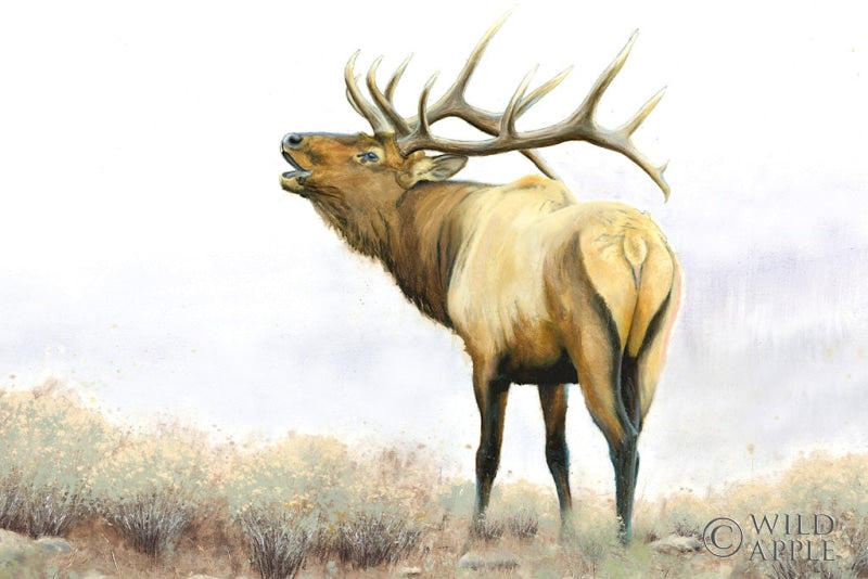 Reproduction of Majestic Elk by James Wiens - Wall Decor Art