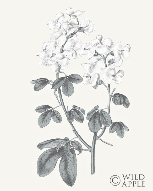 Reproduction of Neutral Botanical III by Wild Apple Portfolio - Wall Decor Art