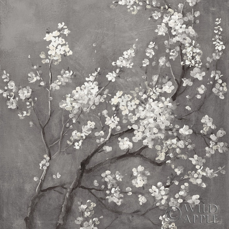 Reproduction of White Cherry Blossoms I on Grey Crop by Danhui Nai - Wall Decor Art