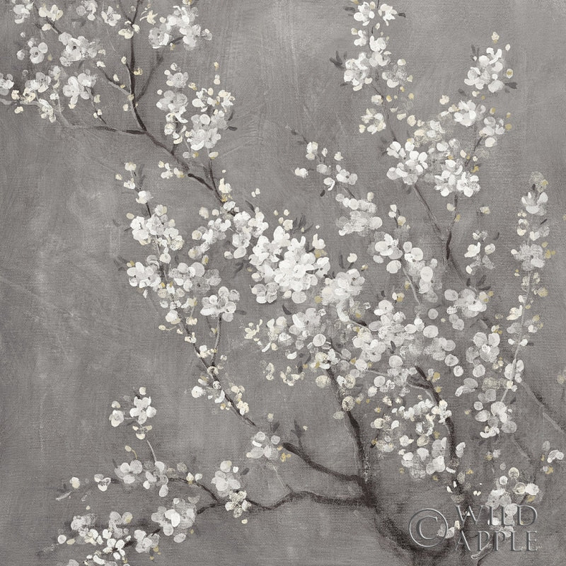 Reproduction of White Cherry Blossoms II on Grey Crop by Danhui Nai - Wall Decor Art