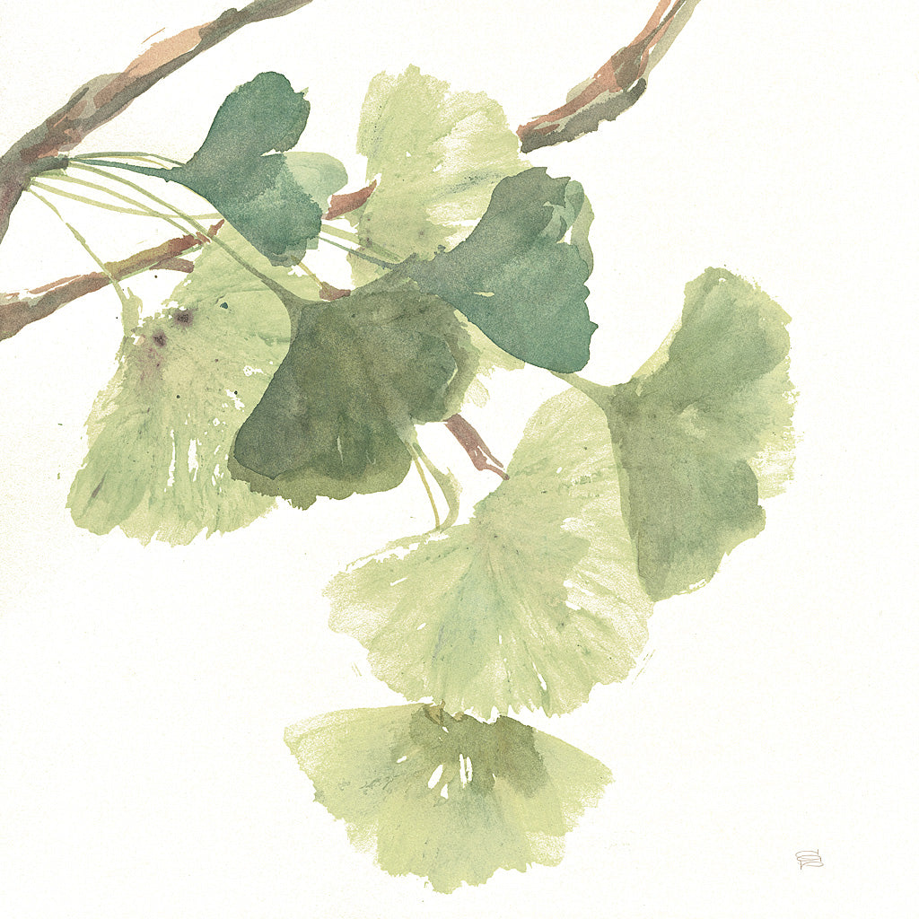 Reproduction of Gingko Leaves I on White by Chris Paschke - Wall Decor Art