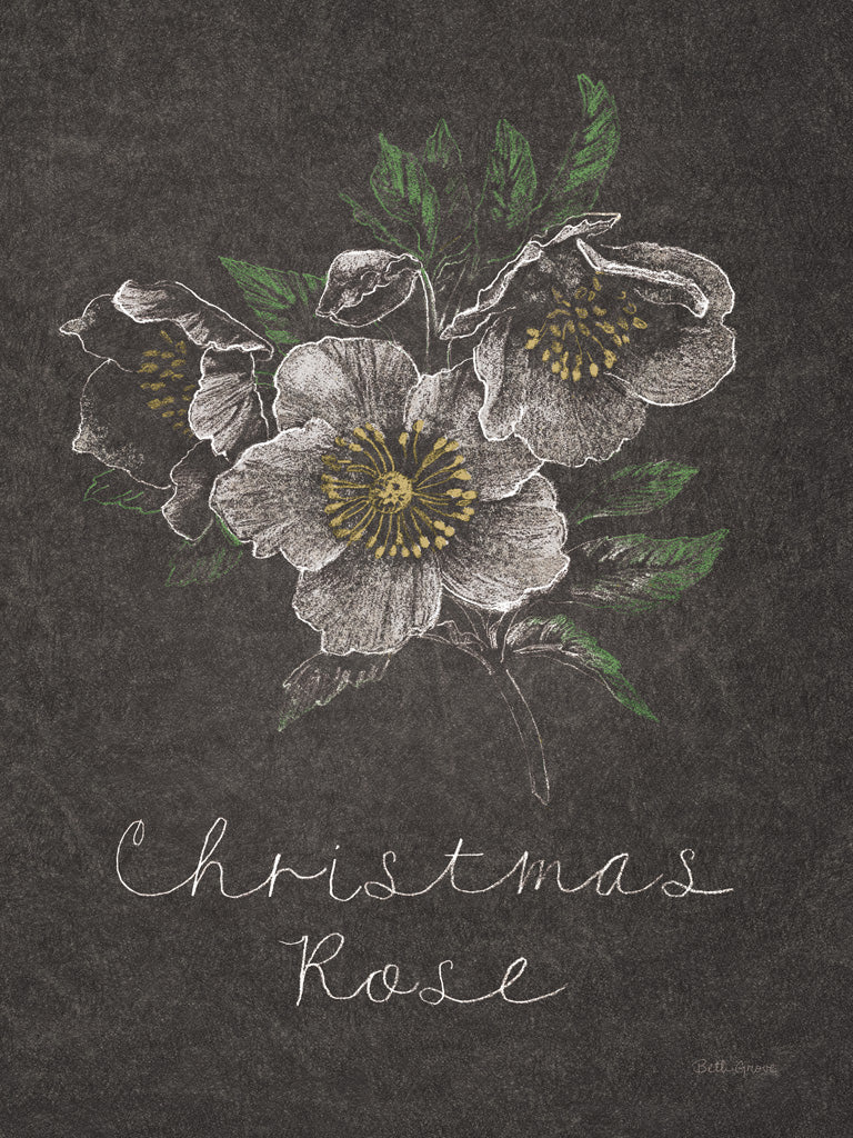 Reproduction of Chalkboard Christmas Greenery III by Beth Grove - Wall Decor Art