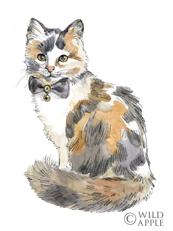 Reproduction of Fancy Cats II by Beth Grove - Wall Decor Art