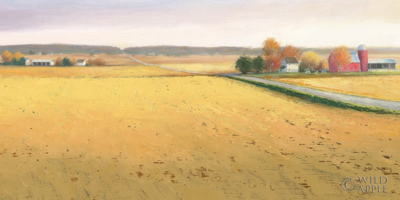 Reproduction of Heartland Landscape Crop II by James Wiens - Wall Decor Art