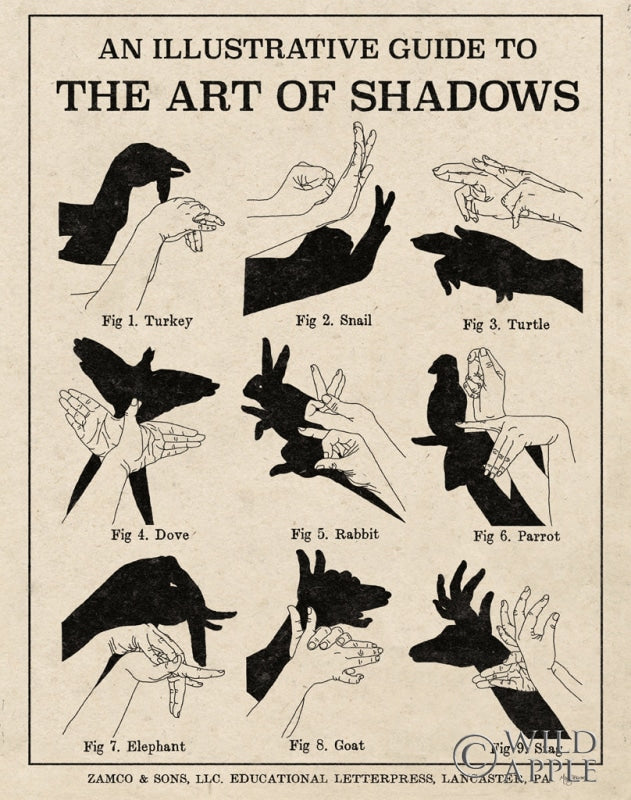 Reproduction of The Art of Shadows X by Mary Urban - Wall Decor Art