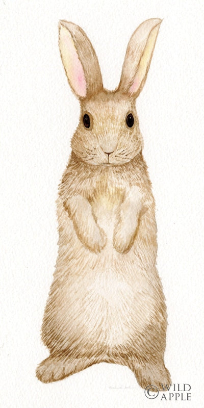 Reproduction of Spring Bunny II White by Kathleen Parr McKenna - Wall Decor Art