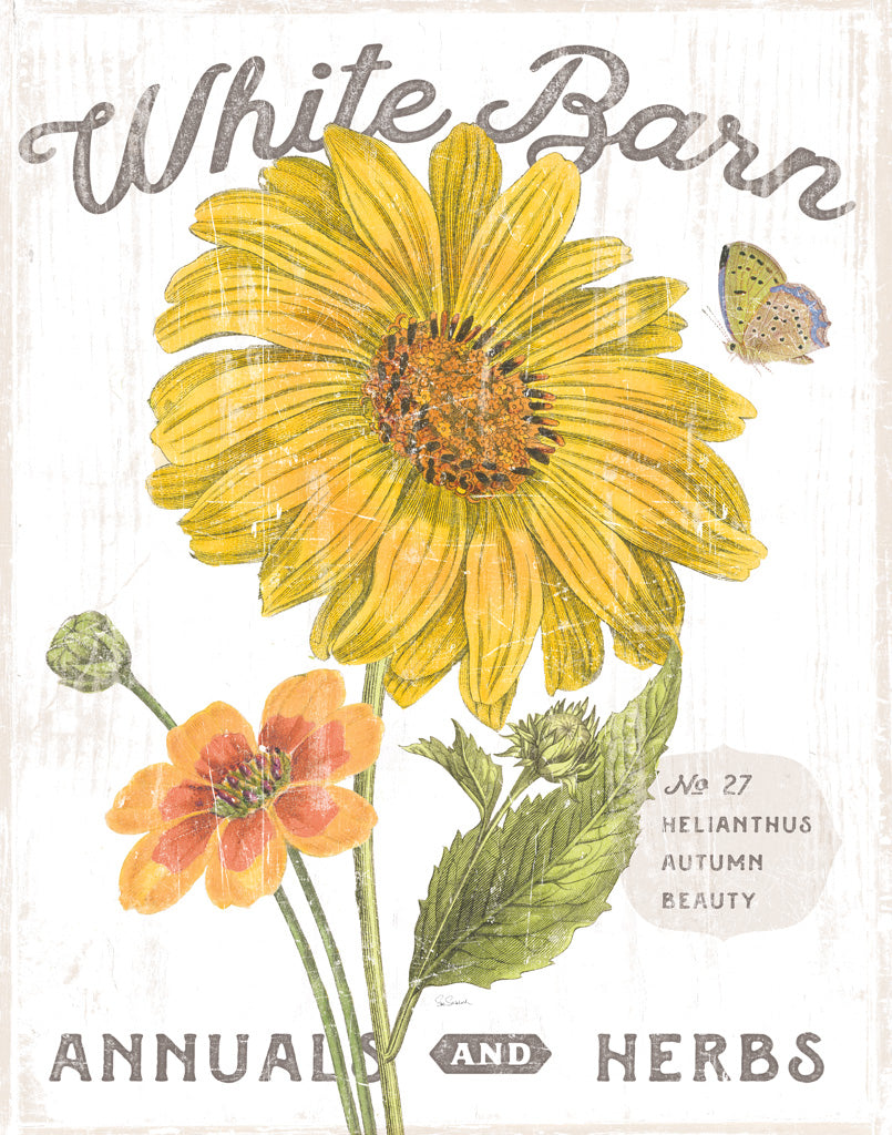 Reproduction of White Barn Flowers I by Sue Schlabach - Wall Decor Art