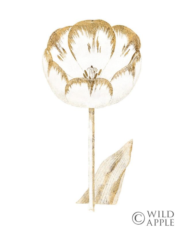 Reproduction of Gilded Botanical V by Wild Apple Portfolio - Wall Decor Art