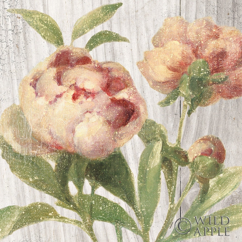 Reproduction of Scented Cottage Florals I Crop by Danhui Nai - Wall Decor Art