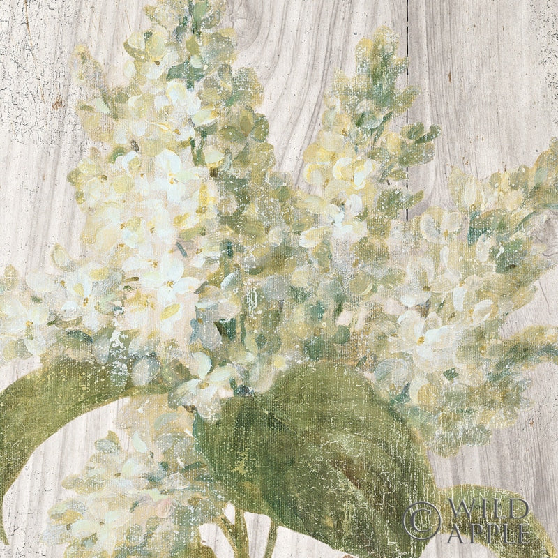 Reproduction of Scented Cottage Florals II Crop by Danhui Nai - Wall Decor Art