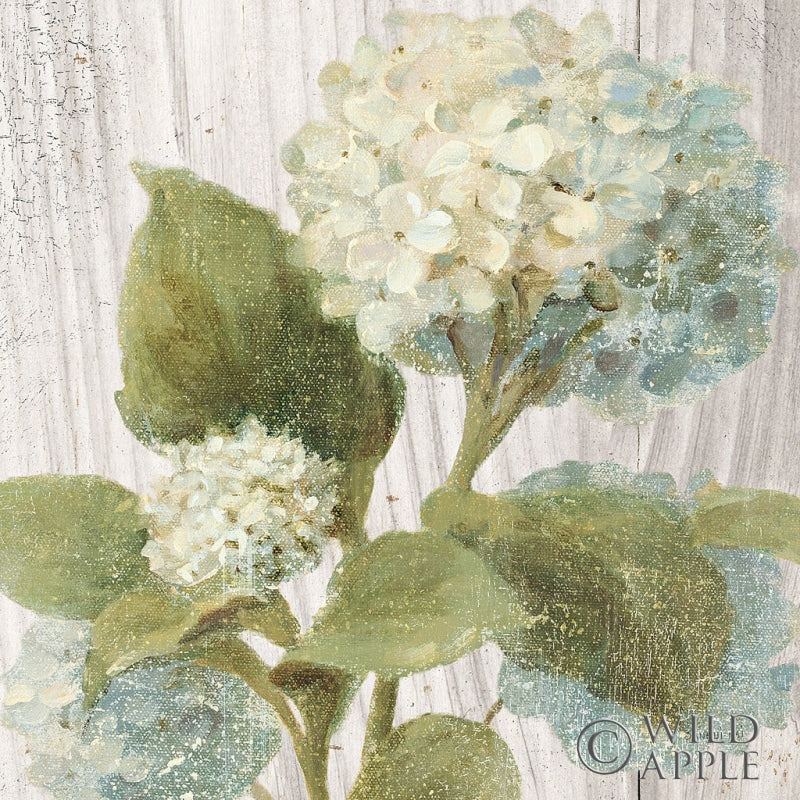 Reproduction of Scented Cottage Florals IV Crop by Danhui Nai - Wall Decor Art
