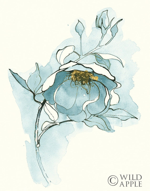 Reproduction of Carols Roses V Blue by Shirley Novak - Wall Decor Art