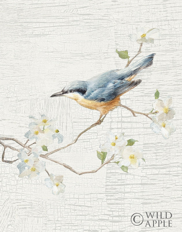 Reproduction of Nuthatch Vintage v2 by Danhui Nai - Wall Decor Art