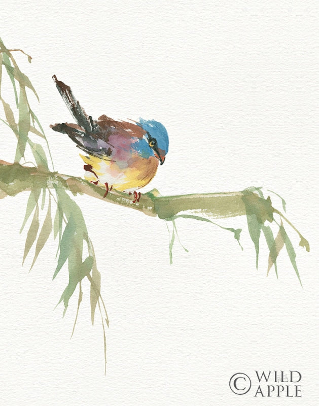 Reproduction of Finch v2 by Chris Paschke - Wall Decor Art