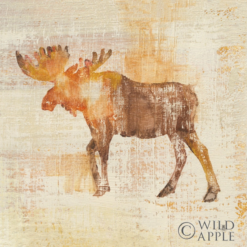 Reproduction of Moose Study by Studio Mousseau - Wall Decor Art