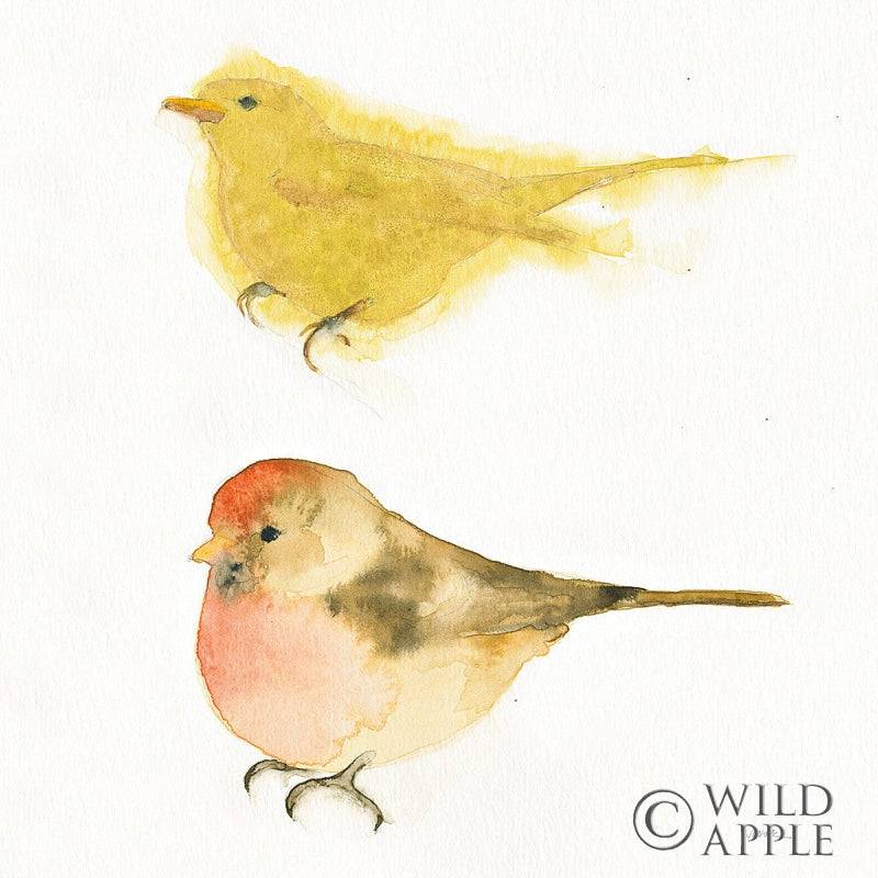 Reproduction of Watercolor Birds I Sq by Shirley Novak - Wall Decor Art