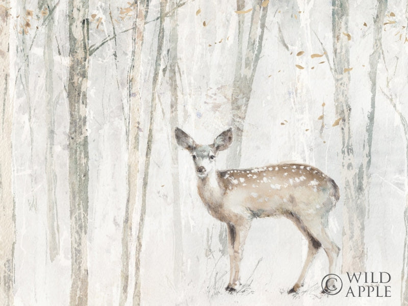 Reproduction of A Woodland Walk VII Crop by Lisa Audit - Wall Decor Art