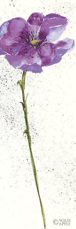 Reproduction of Mint Poppies I in Purple Crop by Chris Paschke - Wall Decor Art