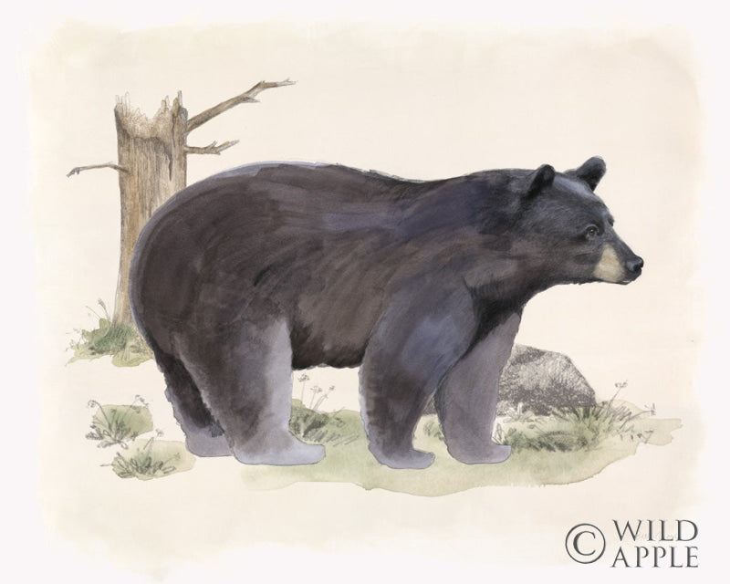 Reproduction of Wilderness Collection Bear by Beth Grove - Wall Decor Art