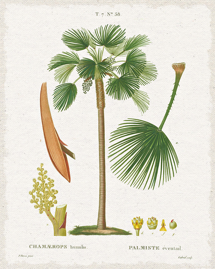 Reproduction of Island Botanicals I by Wild Apple Portfolio - Wall Decor Art