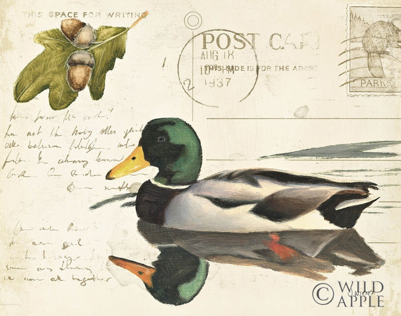 Reproduction of Northern Wild II by James Wiens - Wall Decor Art