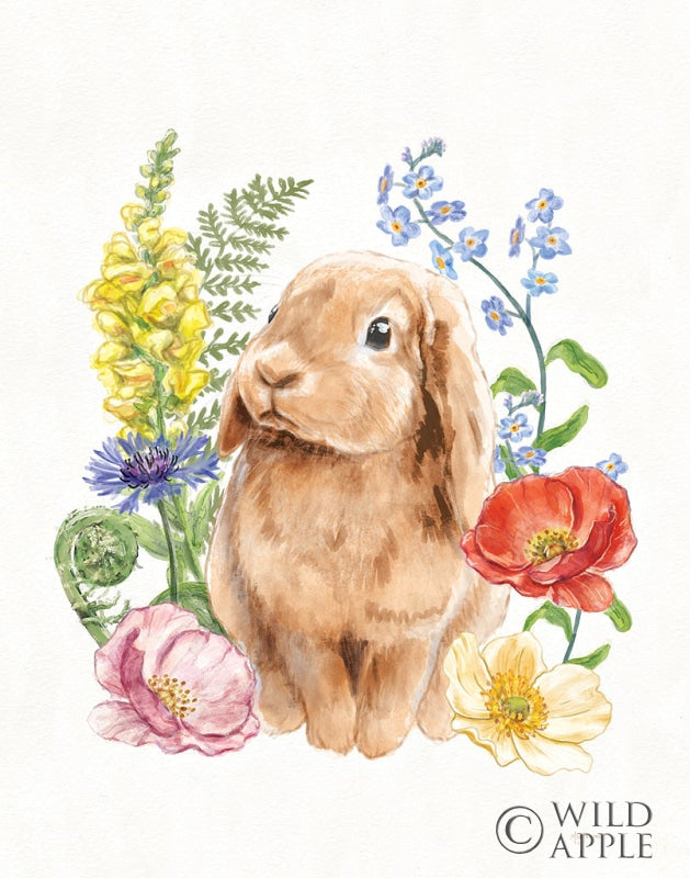 Reproduction of Sunny Bunny I FB by Mary Urban - Wall Decor Art