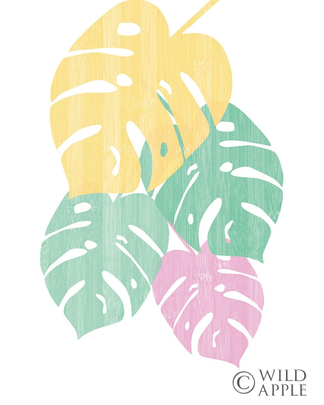 Reproduction of Monstera III Bright on White by Sarah Adams - Wall Decor Art