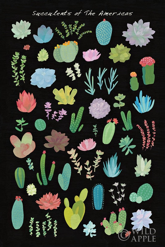 Reproduction of Succulent Chart I of the Americas by Wild Apple Portfolio - Wall Decor Art