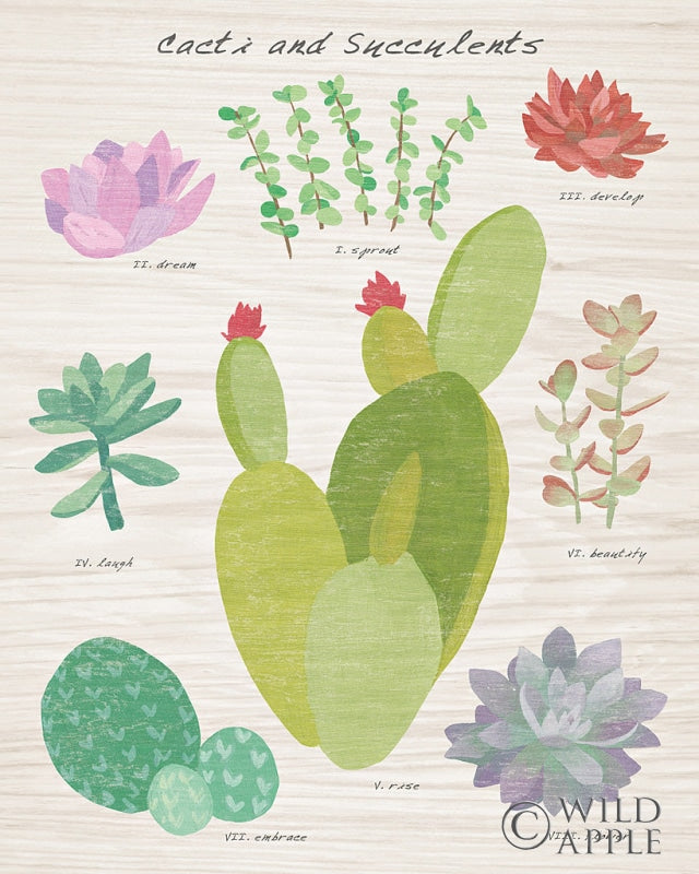 Reproduction of Succulent and Cacti Chart III on Wood by Wild Apple Portfolio - Wall Decor Art