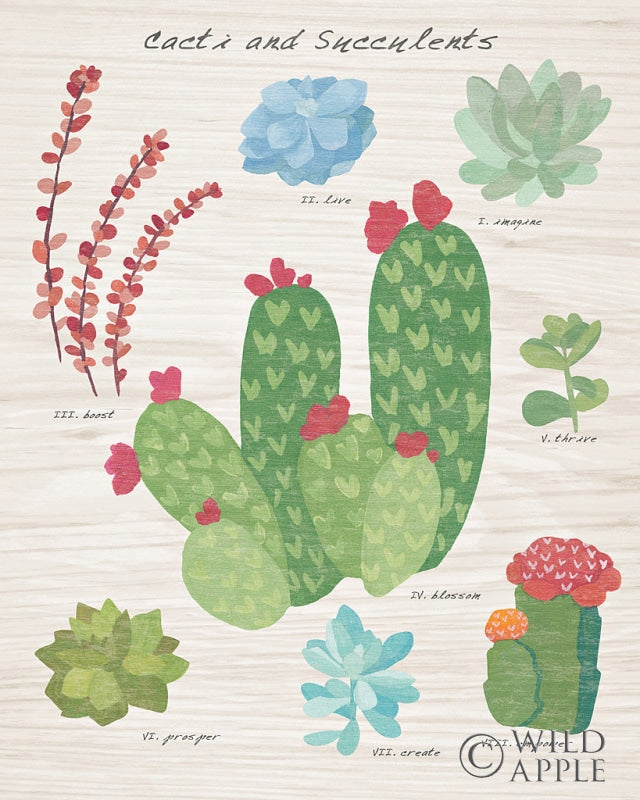 Reproduction of Succulent and Cacti Chart IV on Wood by Wild Apple Portfolio - Wall Decor Art