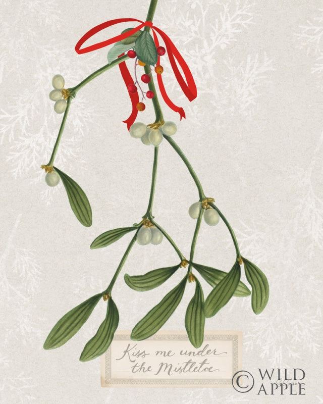 Reproduction of Joyful Tidings V by Sue Schlabach - Wall Decor Art