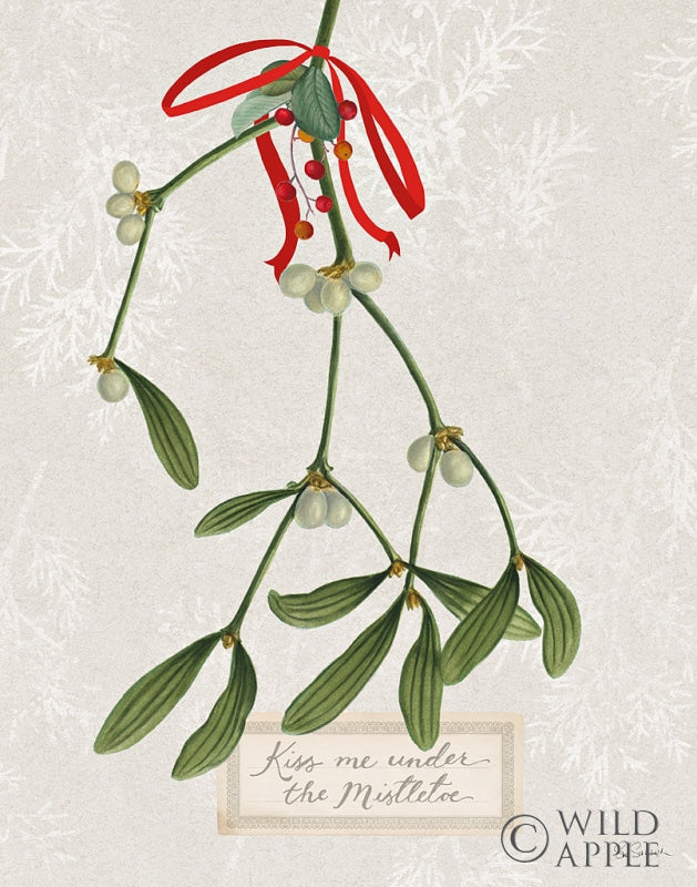 Reproduction of Joyful Tidings V by Sue Schlabach - Wall Decor Art