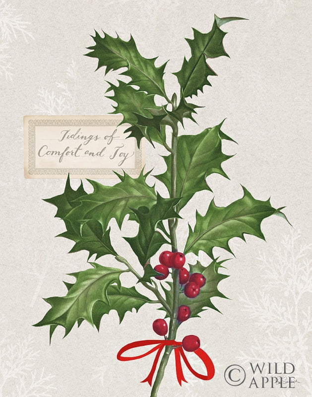 Reproduction of Joyful Tidings VI by Sue Schlabach - Wall Decor Art