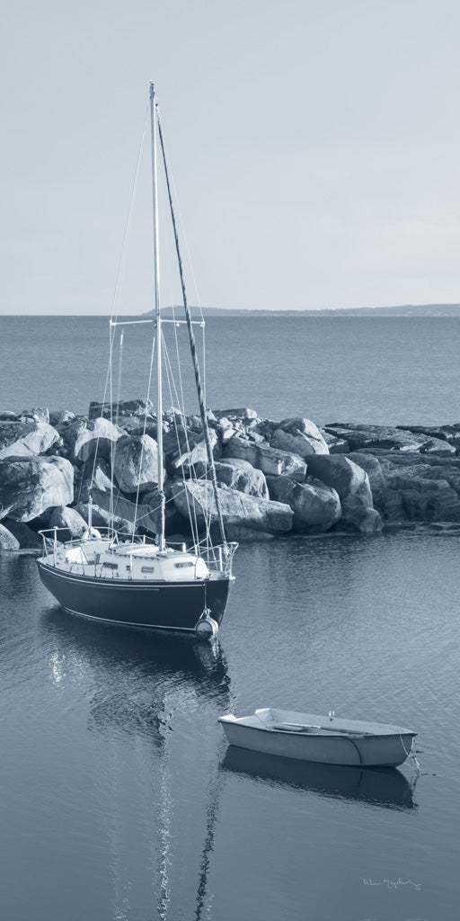 Reproduction of By the Sea II no Border Crop by Alan Majchrowicz - Wall Decor Art