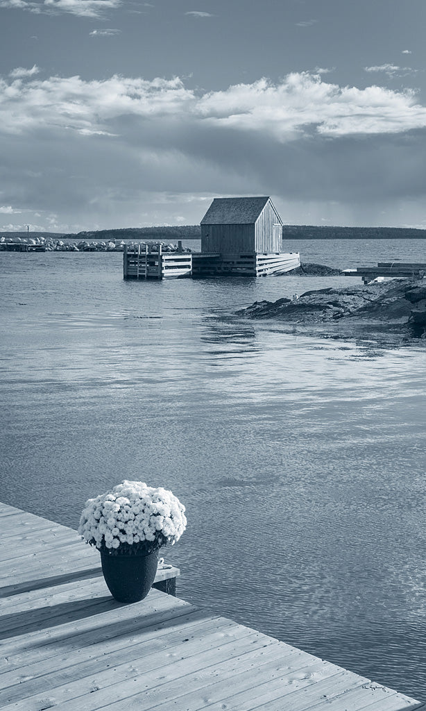 Reproduction of By the Sea III no Border by Alan Majchrowicz - Wall Decor Art