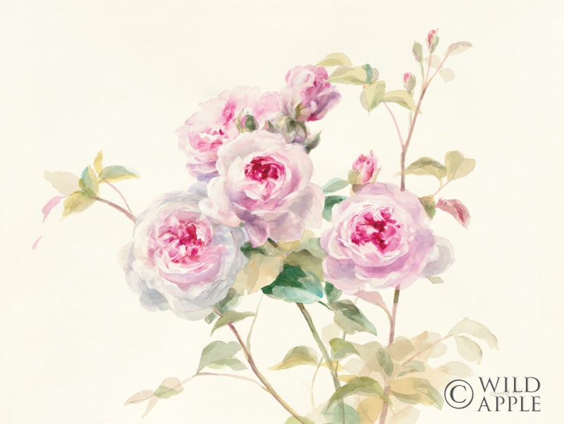 Reproduction of Sweet Roses by Danhui Nai - Wall Decor Art