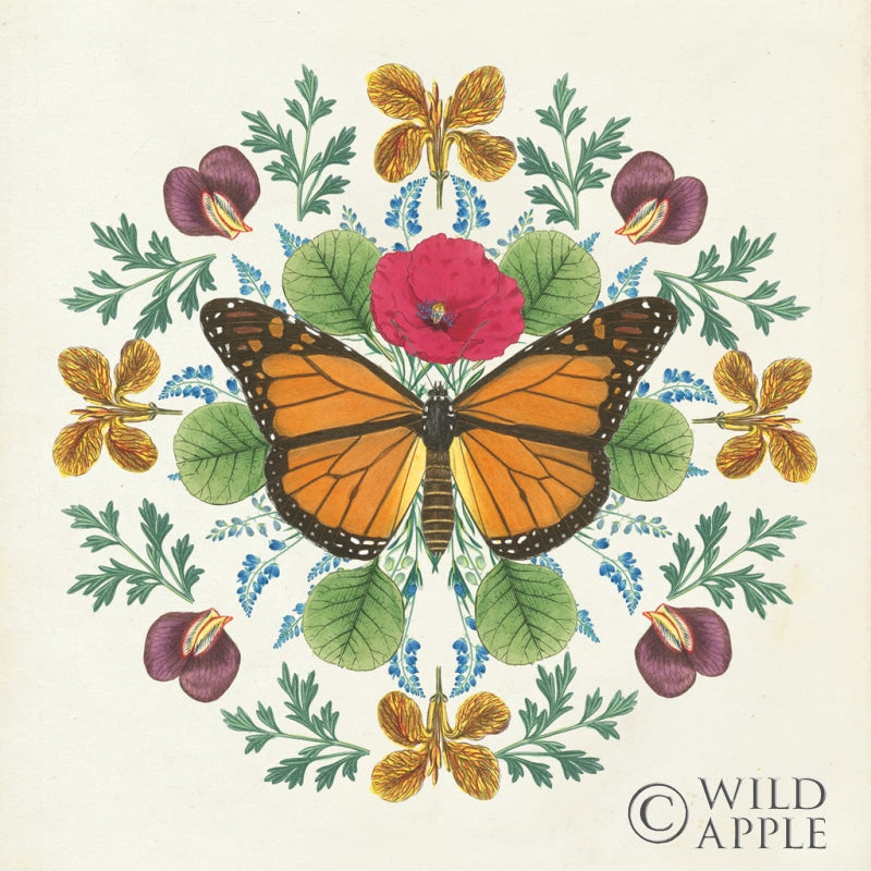 Reproduction of Butterfly Mandala I by Wild Apple Portfolio - Wall Decor Art